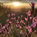 度假居 Mar De Encinas