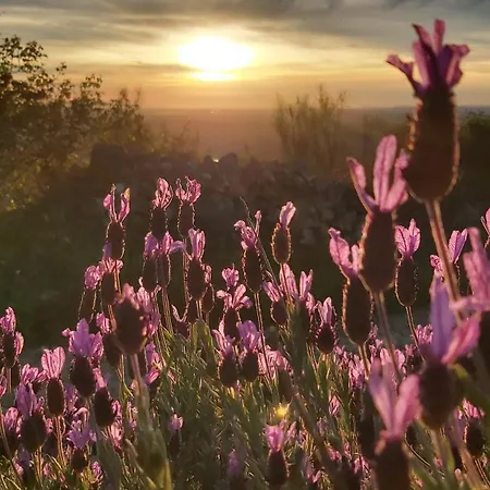 Hébergement de vacances Mar De Encinas