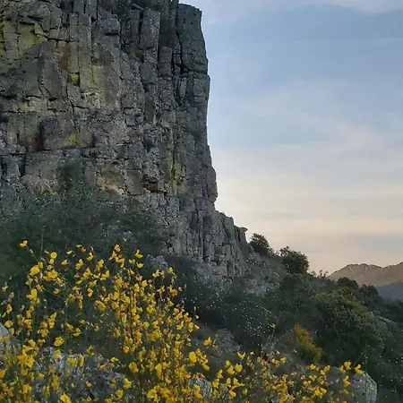 Mar De Encinas Cabañas del Castillo