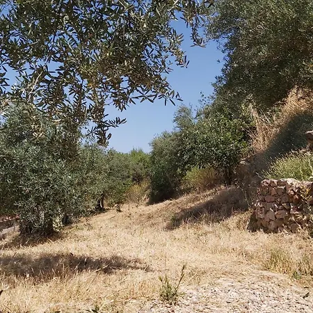 Hébergement de vacances Mar De Encinas Cabañas del Castillo