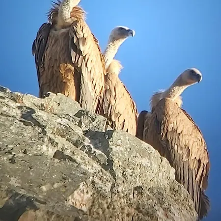 Hébergement de vacances Mar De Encinas *
