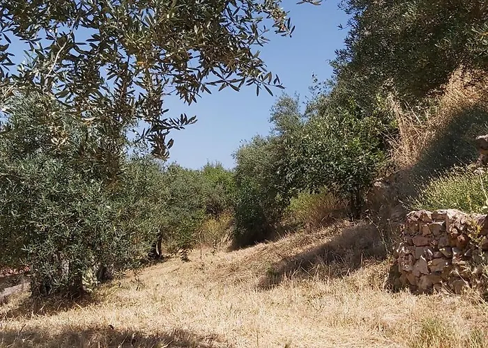 Сasa de vacaciones Mar De Encinas Cabañas del Castillo