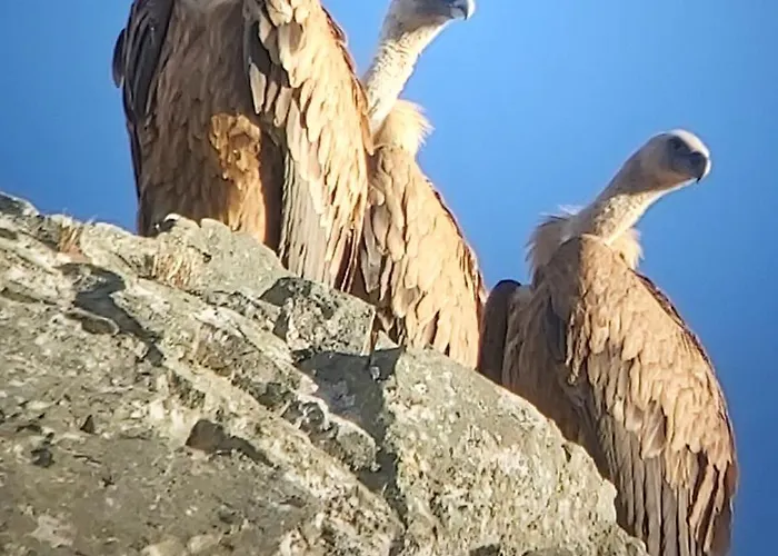 Сasa de vacaciones Mar De Encinas *