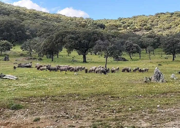 Mar De Encinas Сasa de vacaciones Cabañas del Castillo